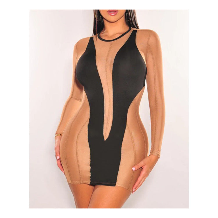 “The Strip” Mini Dress