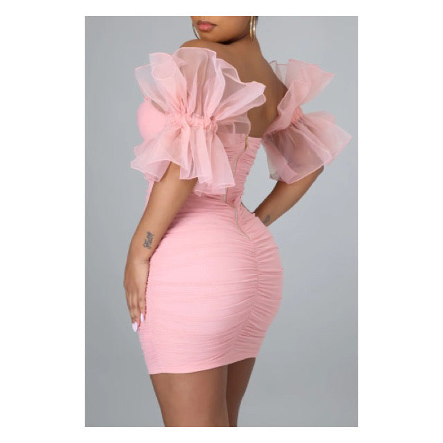 Pink Mesh “Ruffle Sleeve” Bodycon Dress